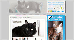 Desktop Screenshot of chatslibresdecolomiers.com